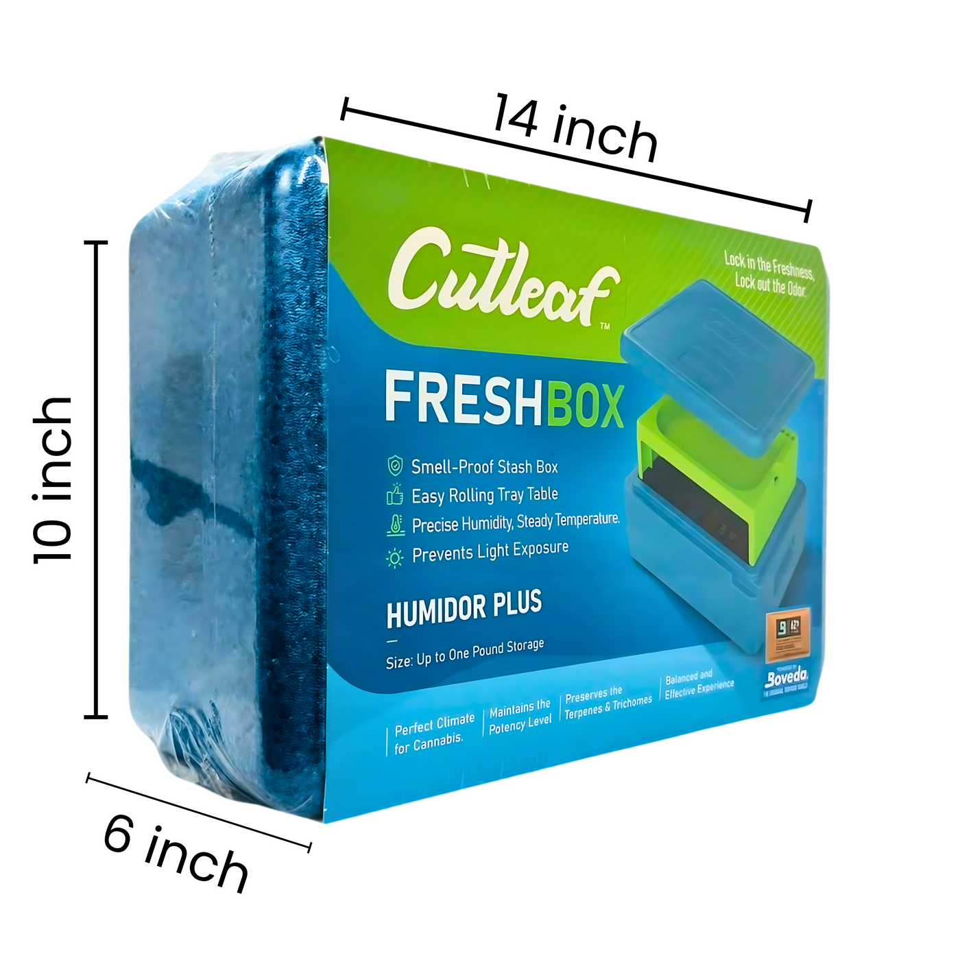 Cutleaf Fresh Box – The Vapor Shoppe